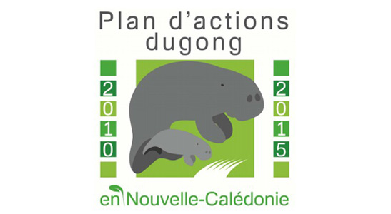 Dugong : un animal marin en danger