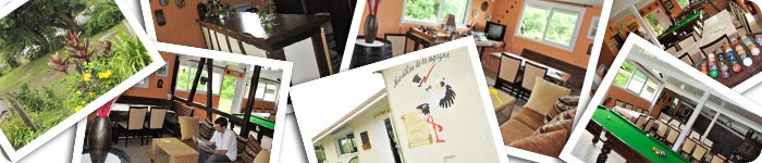 Un nid de cigognes à Bourail ! un nid de cigognes a bourail