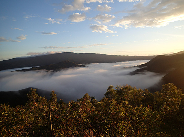 Balade en nouvelle caledonie