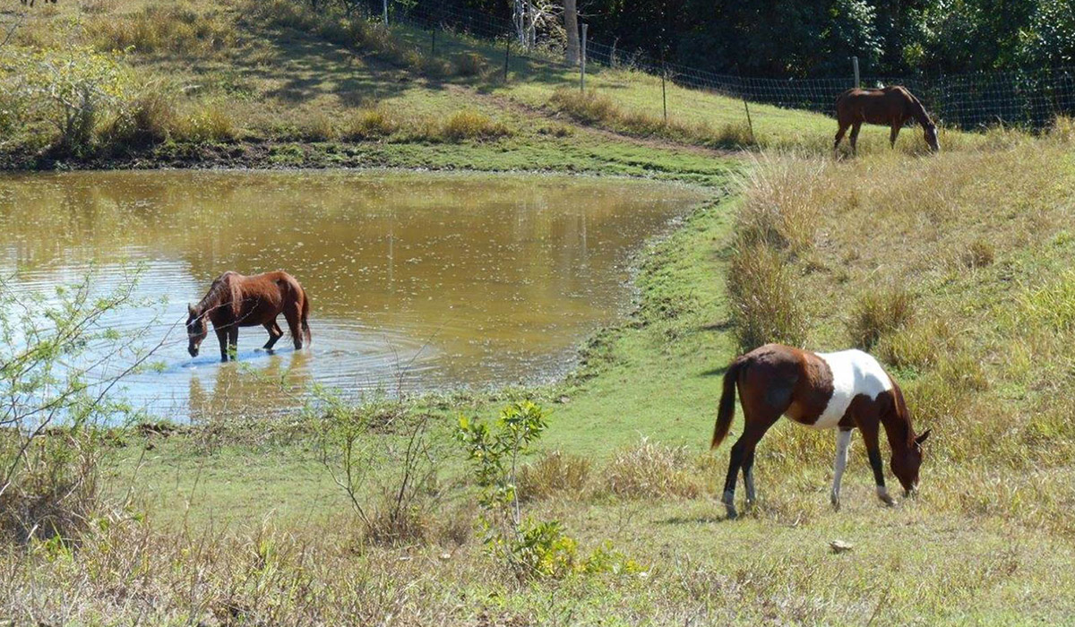 Pocquereux Randonnée Nouvelle-Calédonie