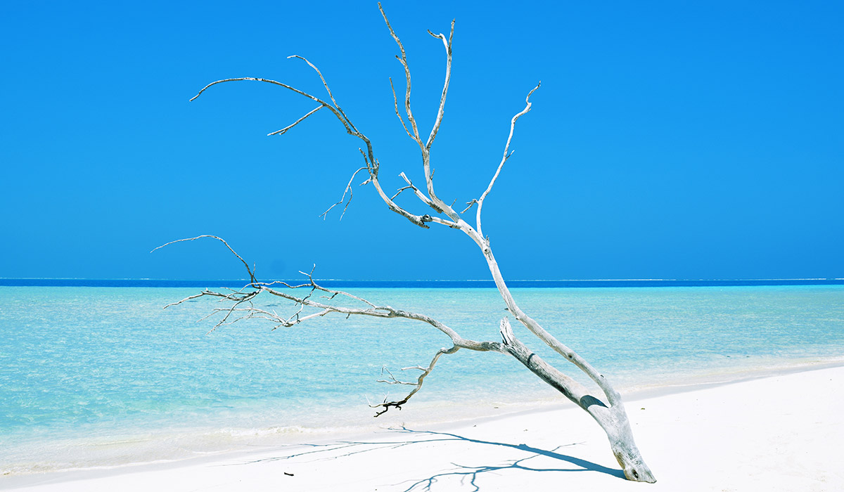 Saison chaude Nouvelle Caledonie