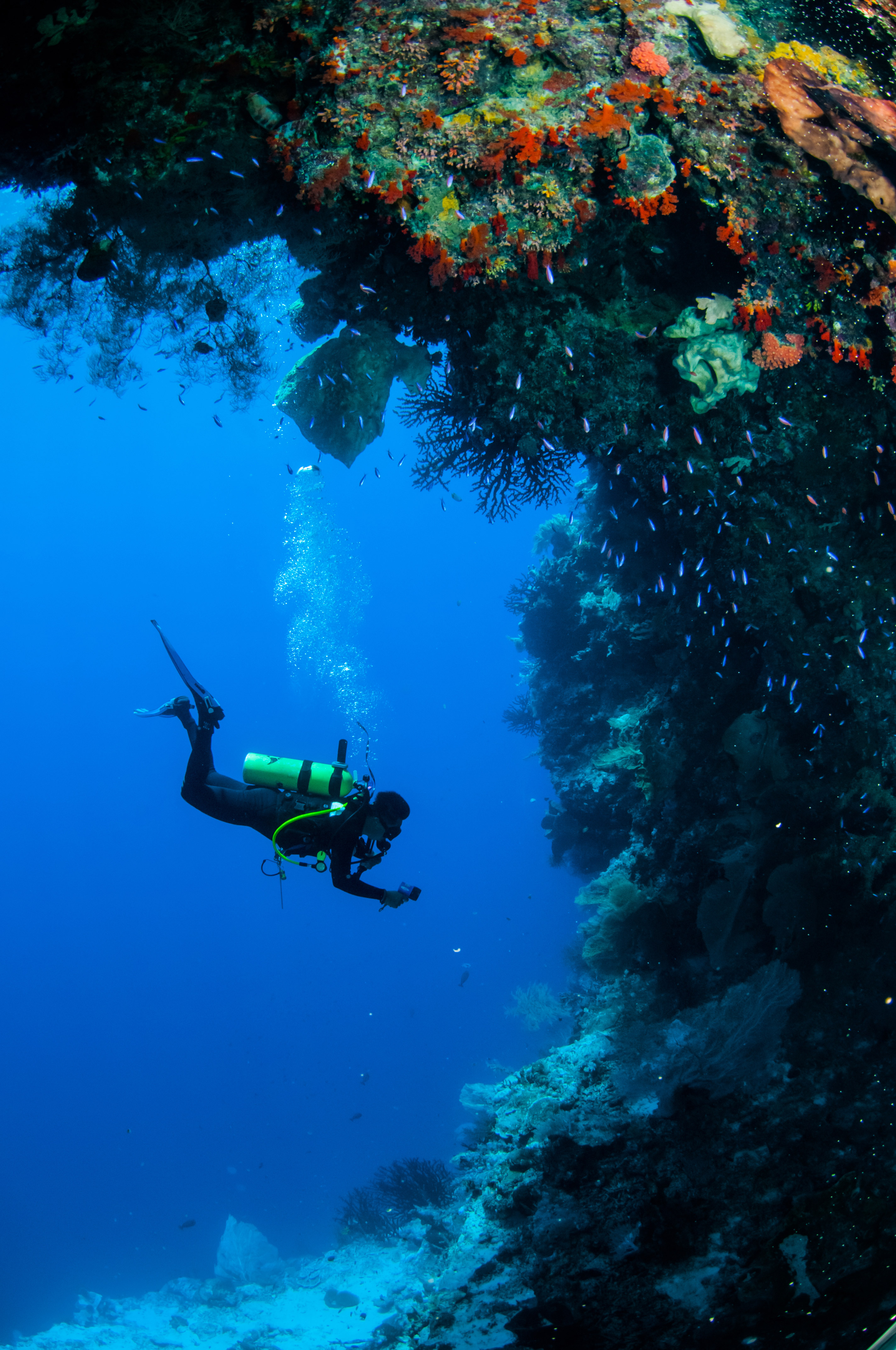 Plongée Nouvelle Caledonie