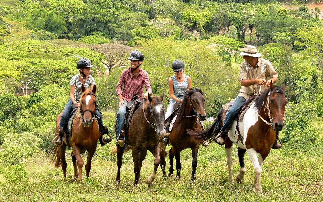 Sarramea randonnee : balade à cheval