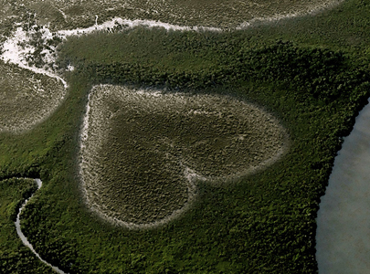 Coeur de Voh dans la mangrove