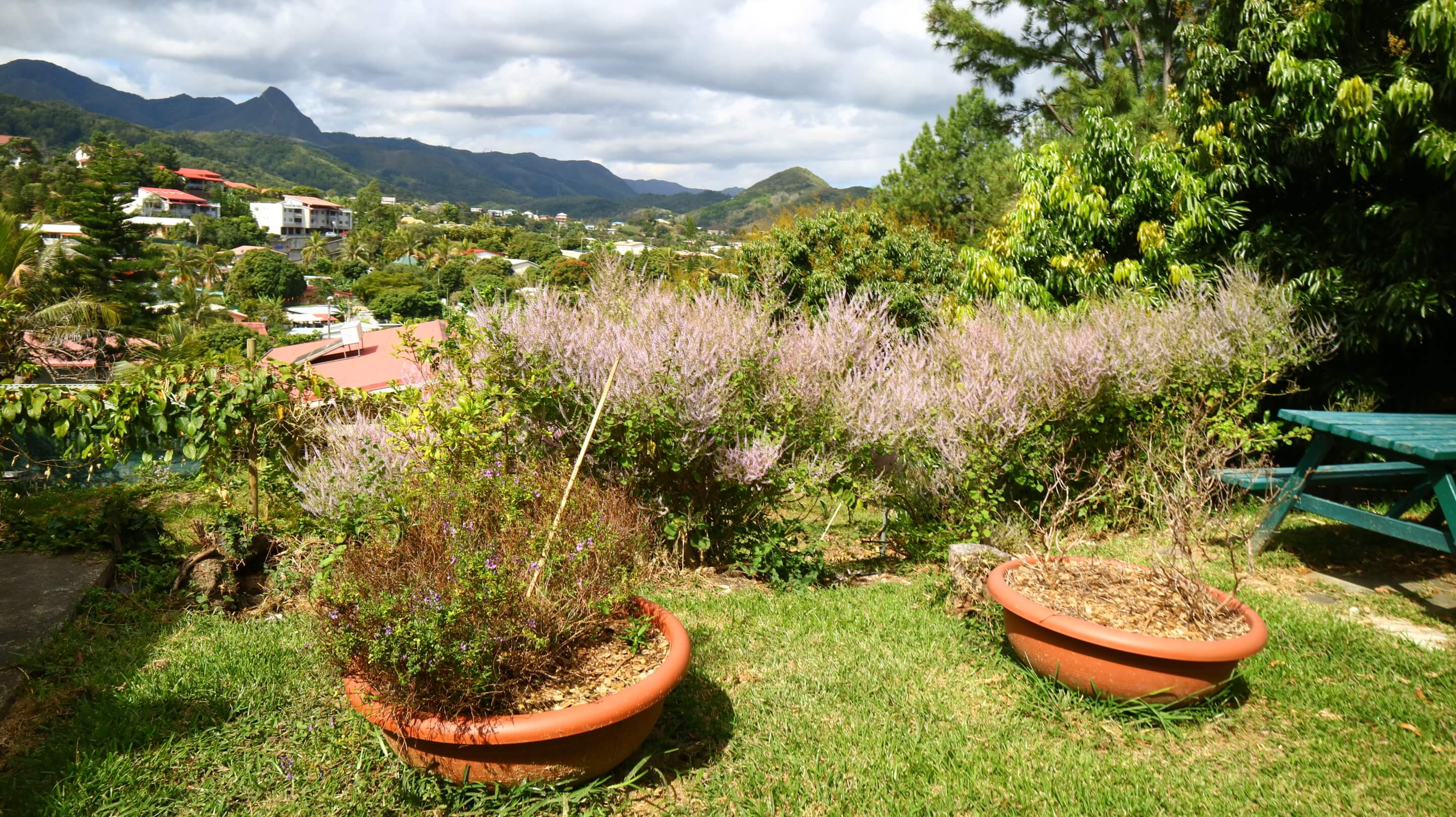 Jardin des logis