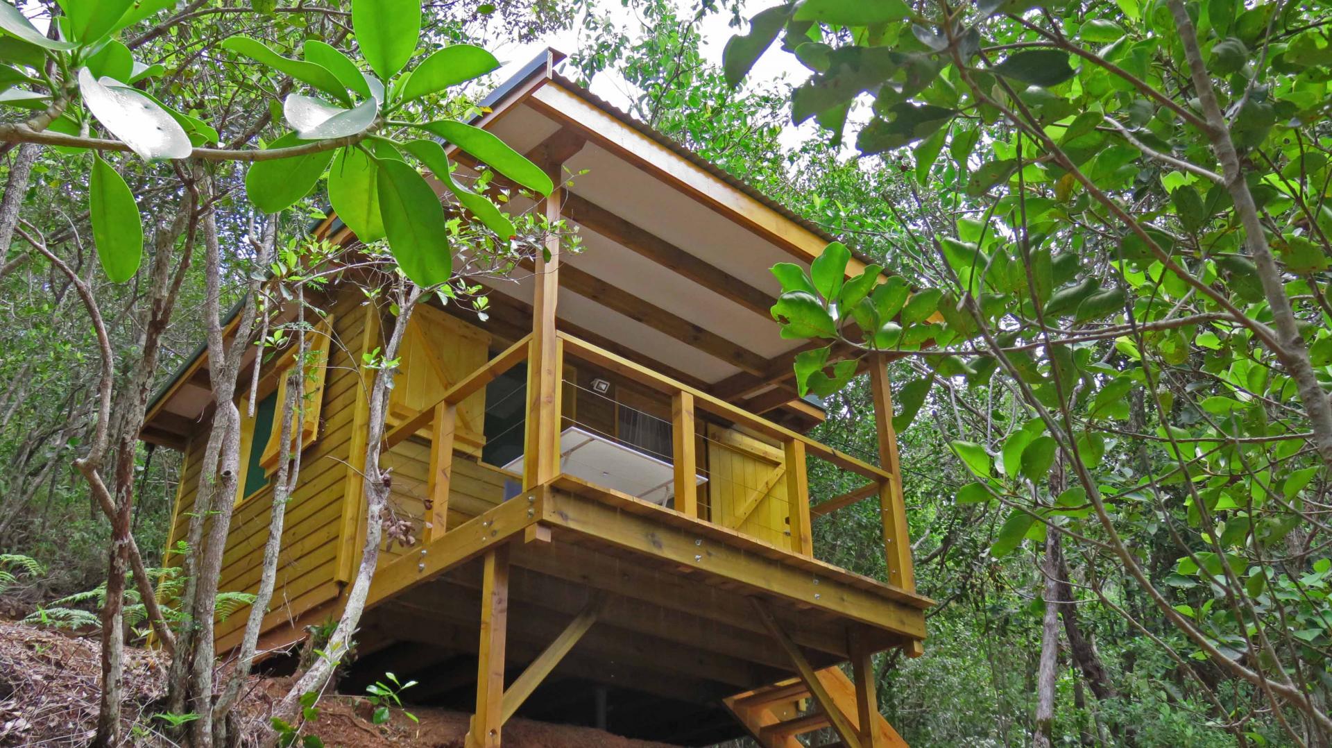 cabane dans les arbres