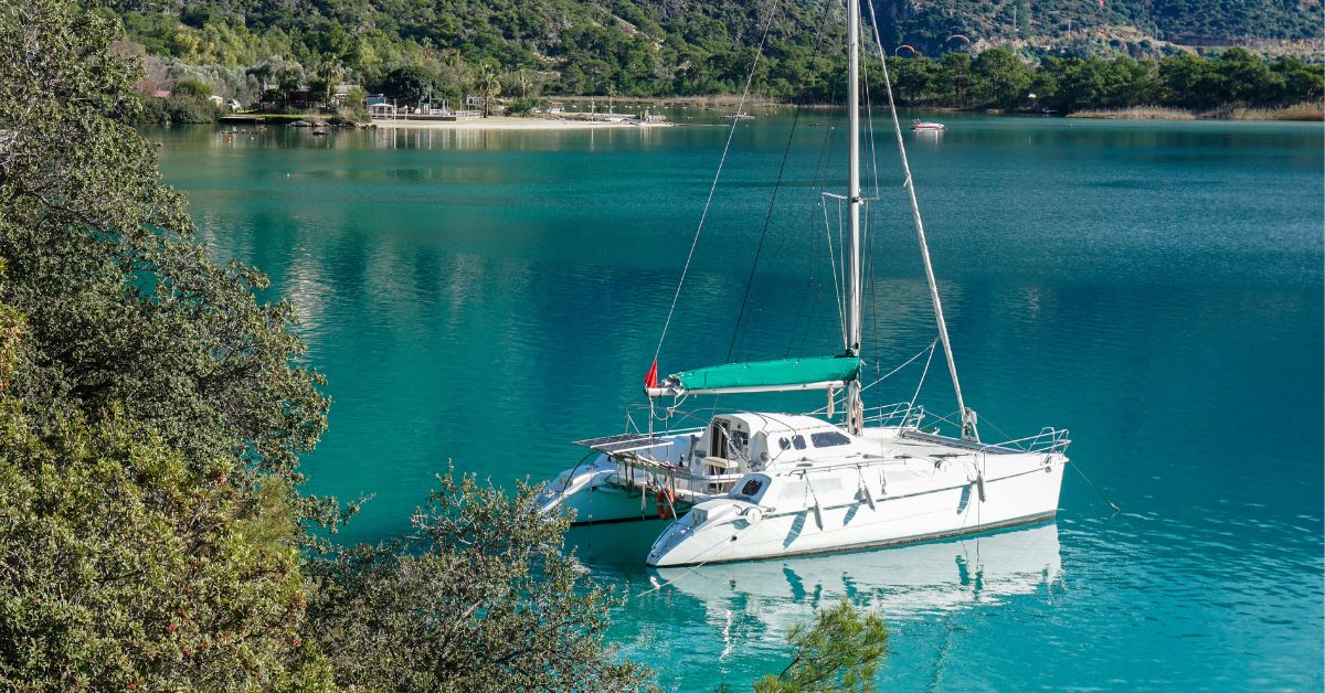 sortie catamaran pour voir les baleines à bosse en Nouvelle-Calédonie