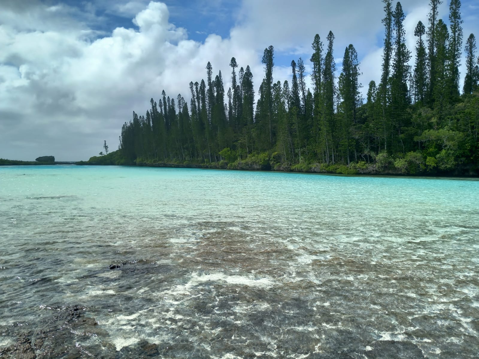 Piscine naturelle baie d'oro île des pins