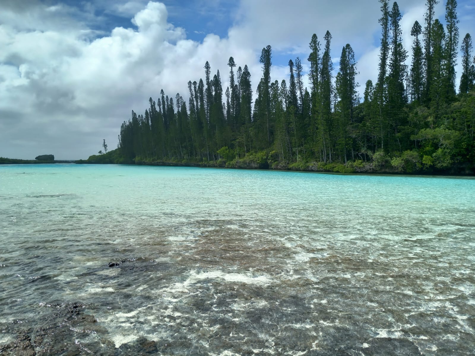 Piscine naturelle baie d'oro île des pins 