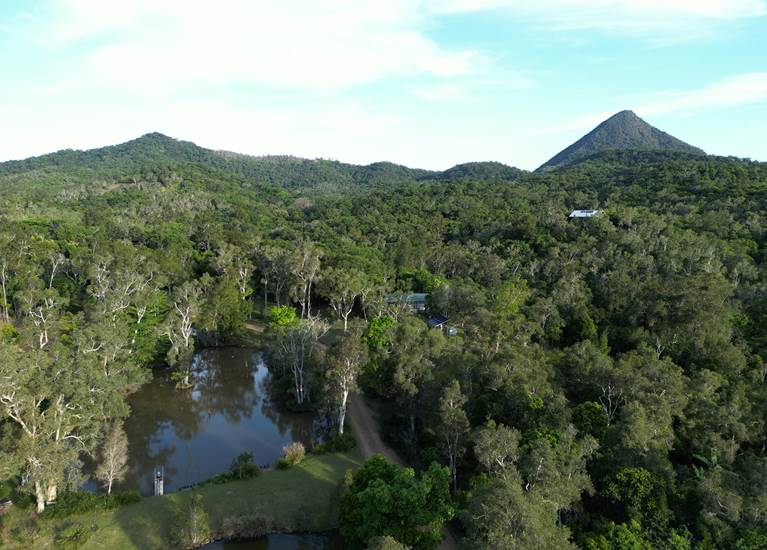 forêt ecogite