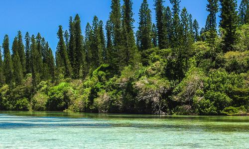 Ile des Pins - Piscine naturelle