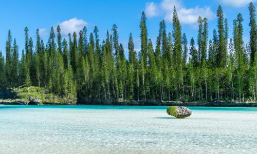Que voir, que faire à l'île des pins en Nouvelle-Calédonie 